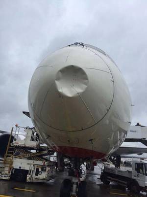 ಹಕ್ಕಿ ಢಿಕ್ಕಿ ಹೊಡೆದು ಮೂಗು ಮುರಿತಕ್ಕೊಳಗಾದ ಏರ್ ಇಂಡಿಯಾ ವಿಮಾನ !